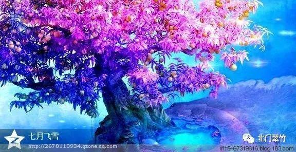 哈哈体育官方入口